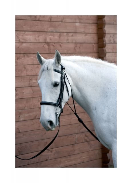 Hy Chambon Training Aid 1 Hy Chambon Training Aid