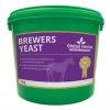 Global Herbs Brewers Yeast 1kg
