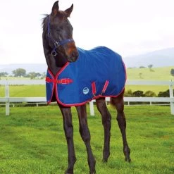 Weatherbeeta Original 1200d Standard Neck Medium Foal Rug