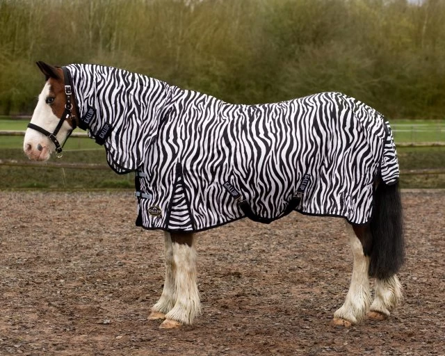 Gallop Zebra Combo Fly Rug X Surcingle 1 Gallop Zebra Combo Fly Rug X Surcingle