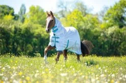 Shires Tempest Original Fly Combo Rug