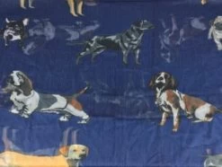 Grays Print Chiffon Scarf -Equestrian Supply Store 1688 3963