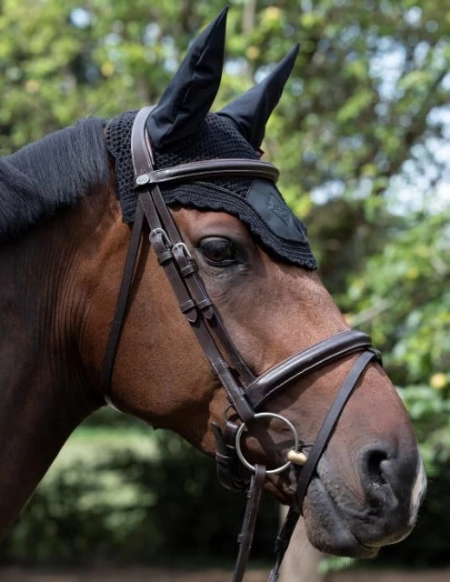 LeMieux Pro Acoustic Ears 2 LeMieux Pro Acoustic Ears - Image 2