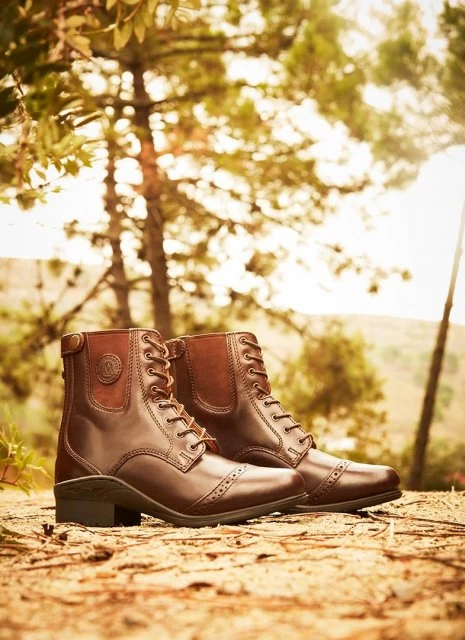 Mountain Horse Aurora Back Zip Paddock 2 Mountain Horse Aurora Back Zip Paddock - Image 2