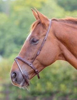 Shires Blenheim/velociti Flash Noseband
