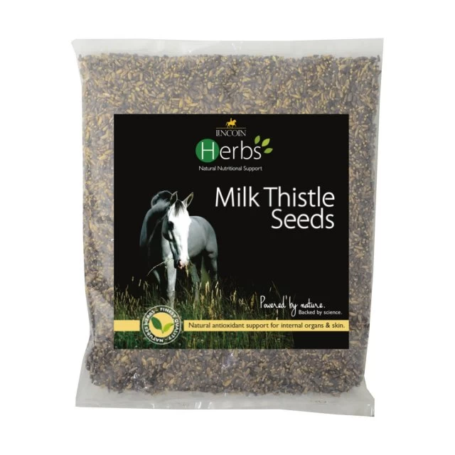 Lincoln Herbs Milk Thistle Seeds 1kg 1 Lincoln Herbs Milk Thistle Seeds 1kg