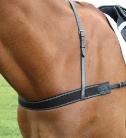 Shires Elastic Breastgirth