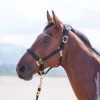 Shires Topaz Nylon Headcollar