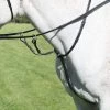 Shires Avingdon Running Martingale