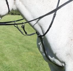 Shires Avingdon Running Martingale
