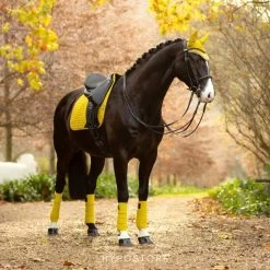 LeMieux Prospect Dijon Dressage Suede Square -Equestrian Supply Store 2742 5990