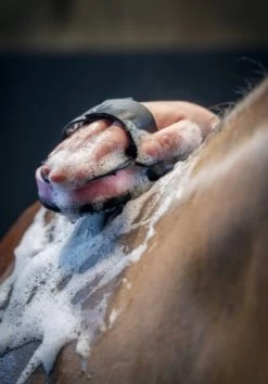 LeMieux Hippo Scrubber 5 LeMieux Hippo Scrubber -Equestrian Supply Store 3158 7157