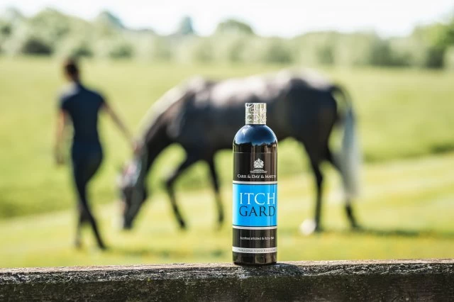 Carr Day Martin Itchgard 2 Carr Day Martin Itchgard - Image 2