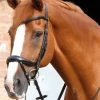 Premier Equine Savuto Anatomic Bridle With Crank Noseband & Flash