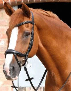 Premier Equine Savuto Anatomic Bridle With Crank Noseband & Flash