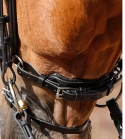 Premier Equine Savuto Anatomic Bridle With Crank Noseband & Flash -Equestrian Supply Store 3345 7611