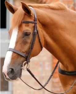 Premier Equine Primo Hunter Bridle Brown
