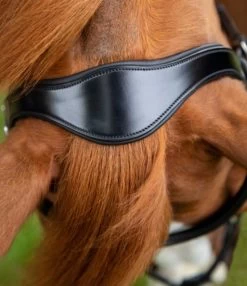 Premier Equine Glorioso Grackle Bridle Black -Equestrian Supply Store 3347 7617