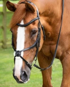 Premier Equine Glorioso Grackle Bridle Black