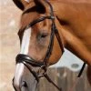 Premier Equine Rizzo Anatomic Snaffle Bridle With Flash Brown