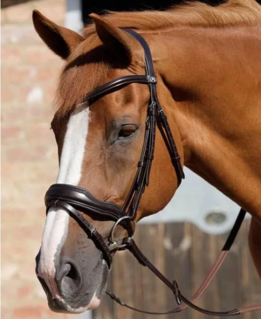Premier Equine Rizzo Anatomic Snaffle Bridle With Flash Brown 1 Premier Equine Rizzo Anatomic Snaffle Bridle With Flash Brown
