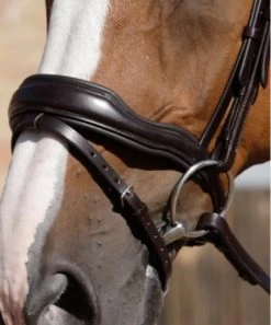 Premier Equine Rizzo Anatomic Snaffle Bridle With Flash Brown 7 Premier Equine Rizzo Anatomic Snaffle Bridle With Flash Brown -Equestrian Supply Store 3349 7616