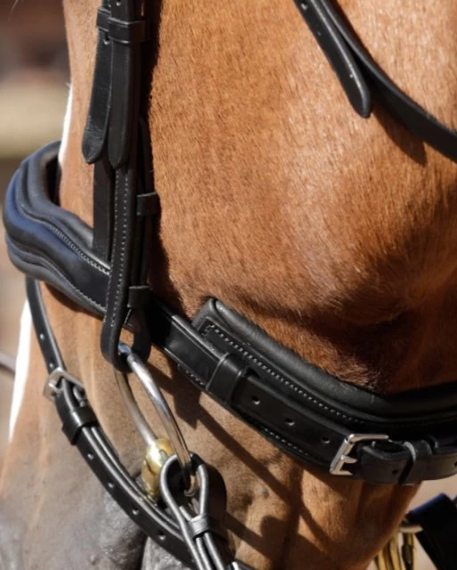 Premier Equine Rizzo Anatomic Snaffle Bridle With Flash Brown 3 Premier Equine Rizzo Anatomic Snaffle Bridle With Flash Brown - Image 3