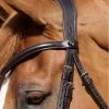 Premier Equine Verdura Anatomic Snaffle Bridle Brown