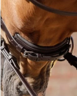 Premier Equine Verdura Anatomic Snaffle Bridle Brown -Equestrian Supply Store 3350 7626