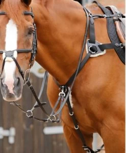 Premier Equine Invorio 5 Point Breastplate