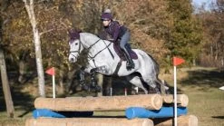 LeMieux Suede CC Pad Square - Fig/marine 7 LeMieux Suede CC Pad Square - Fig/marine -Equestrian Supply Store 4163 9699