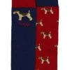 Toggi Womens Terrier Socks 2pkBlue / Red