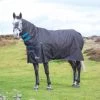 Shires Highlander Original 200g Combo Turnout Rug