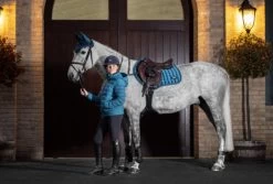 LeMieux Loire Close Contact Square - Marine & Fig 6 LeMieux Loire Close Contact Square - Marine & Fig -Equestrian Supply Store 4265 9938