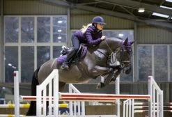 LeMieux Loire Close Contact Square - Marine & Fig 7 LeMieux Loire Close Contact Square - Marine & Fig -Equestrian Supply Store 4265 9940