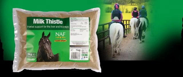 NAF Milk Thistle 1kg 2 NAF Milk Thistle 1kg - Image 2