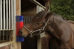 Kerbl Scratch Brush Cattle, Calves, Horse & Goat -Equestrian Supply Store 5161 11723