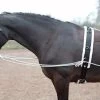 Shires Lunging Aid