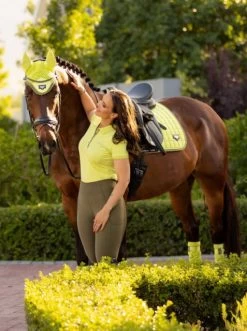 LeMieux Naomi Pull On Breeches 7 LeMieux Naomi Pull On Breeches -Equestrian Supply Store 5442 12520