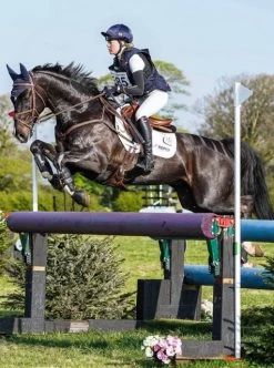 LeMieux Pro Sport Suede Close Contact Square -Equestrian Supply Store 5443 12532