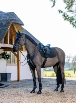 LeMieux Black GP Work Pad 7 LeMieux Black GP Work Pad -Equestrian Supply Store 5447 12559