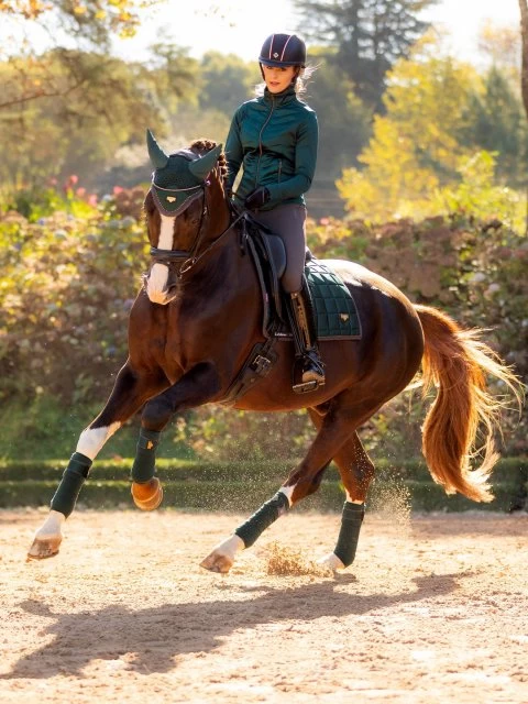 LeMieux Classic Dressage Square 5 LeMieux Classic Dressage Square - Image 5