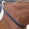 Kincade Elastic Showjumping Breastplate
