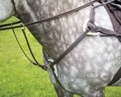 Shires Salisbury Five Point Breastplate