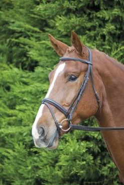 Shires Velociti Gara Comfort Fit Bridle