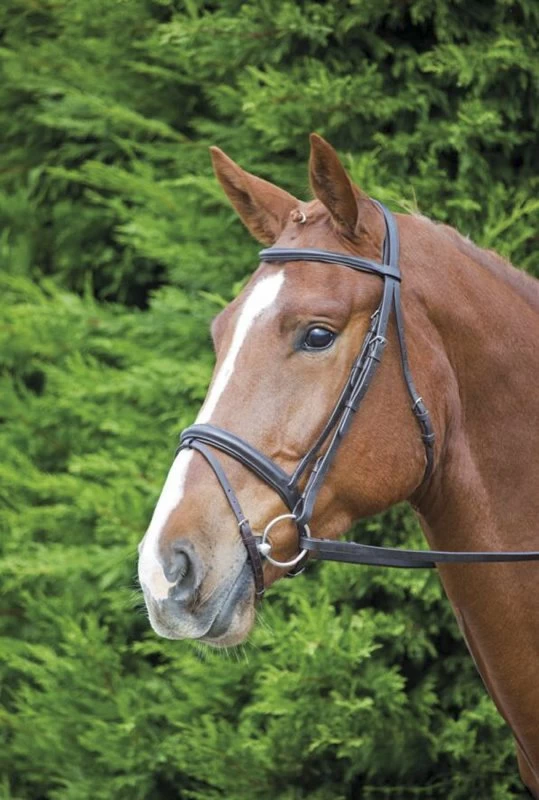 Shires Velociti Gara Comfort Fit Bridle 1 Shires Velociti Gara Comfort Fit Bridle