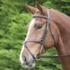 Aviemore/velociti Mexican Bridle