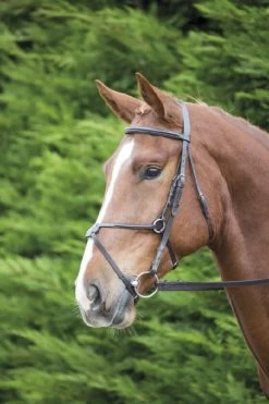 Aviemore/velociti Mexican Bridle