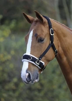 Shires Fleece Lined Black Lunge Cavesson