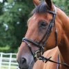 Gallop EconomyBridle With Flash